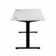 Rise Electric Twin Motor Height Adjustable Desk